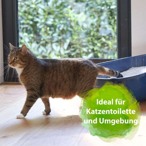 BACTADOR Katzentoiletten Geruchsentferner